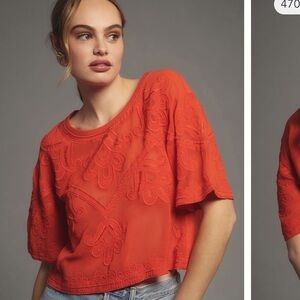 Anthropologie cropped sheer top